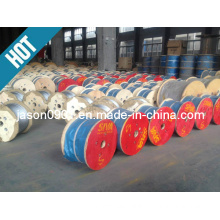 Galvanized Steel Wire Ropes, Wire Rope, Stainless Wire Rope